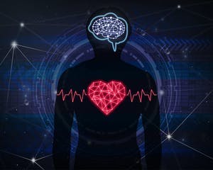 Hearts & minds safety culture assessment