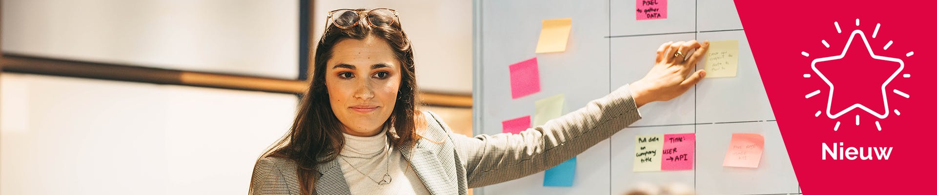 Assistent als Scrummaster