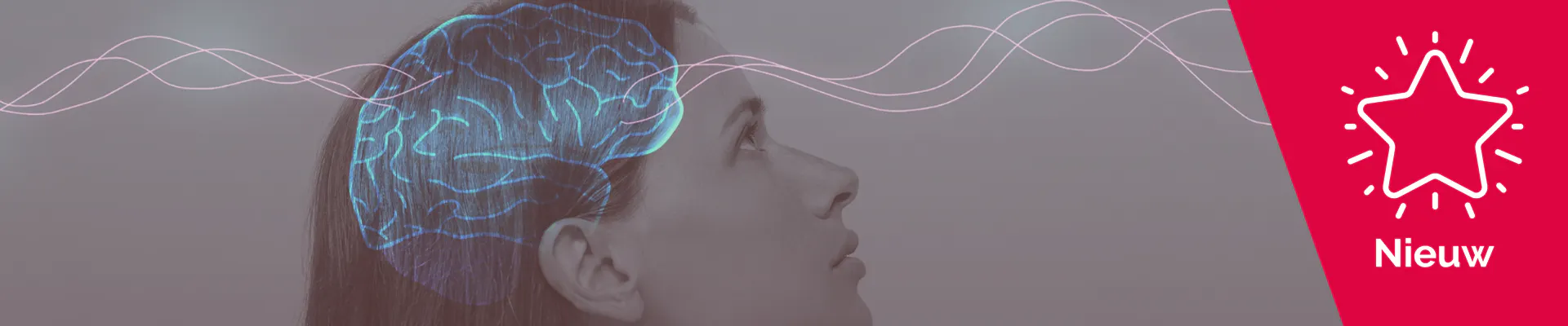 Reguleer je zenuwstelsel