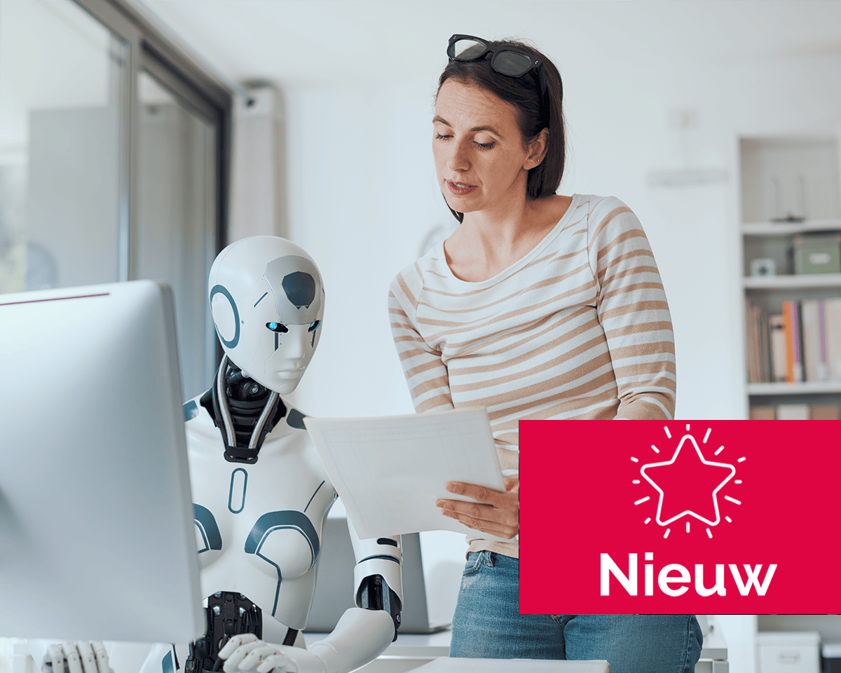 Next Level Schrijven