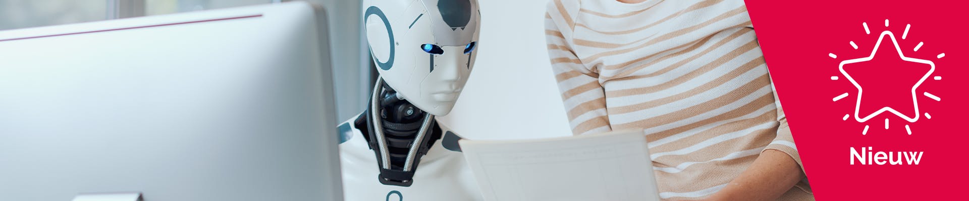 Next Level Schrijven