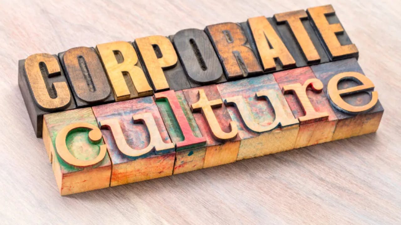 Steven Schuit: “Cultuur is het grootste risico voor een onderneming”