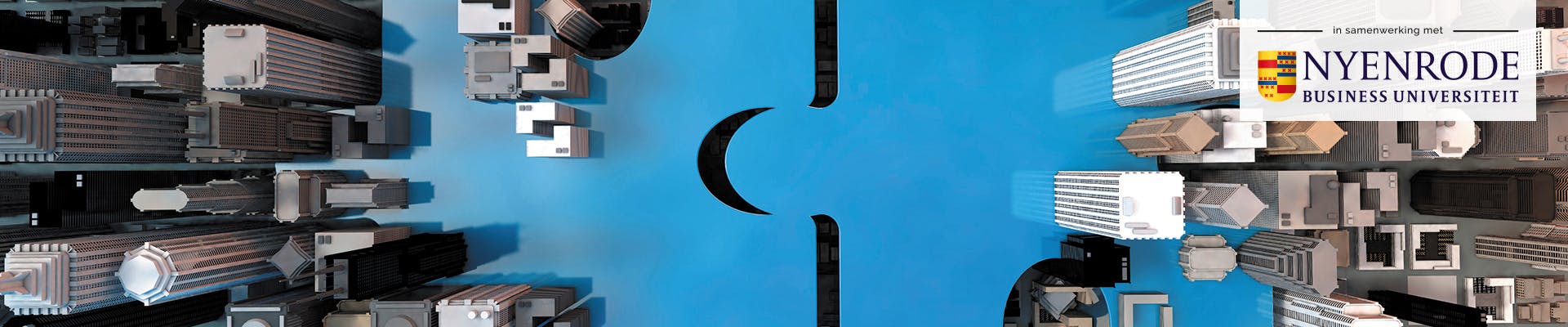 Masterclass Fusies & Overnames