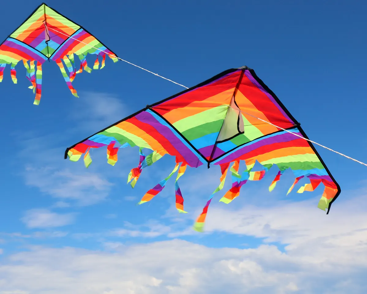 Online Masterclass Wendbaarheid