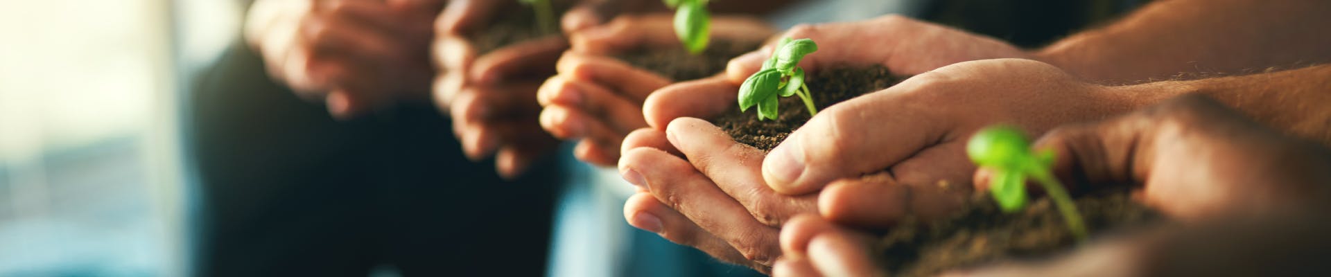 Training Persoonlijke kracht voor HR Professionals