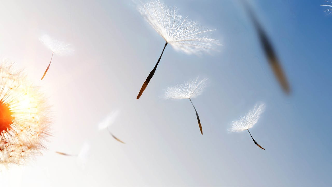 Leefstijlverandering: vergeten hefboom in de transitie naar slimme stadslogistiek