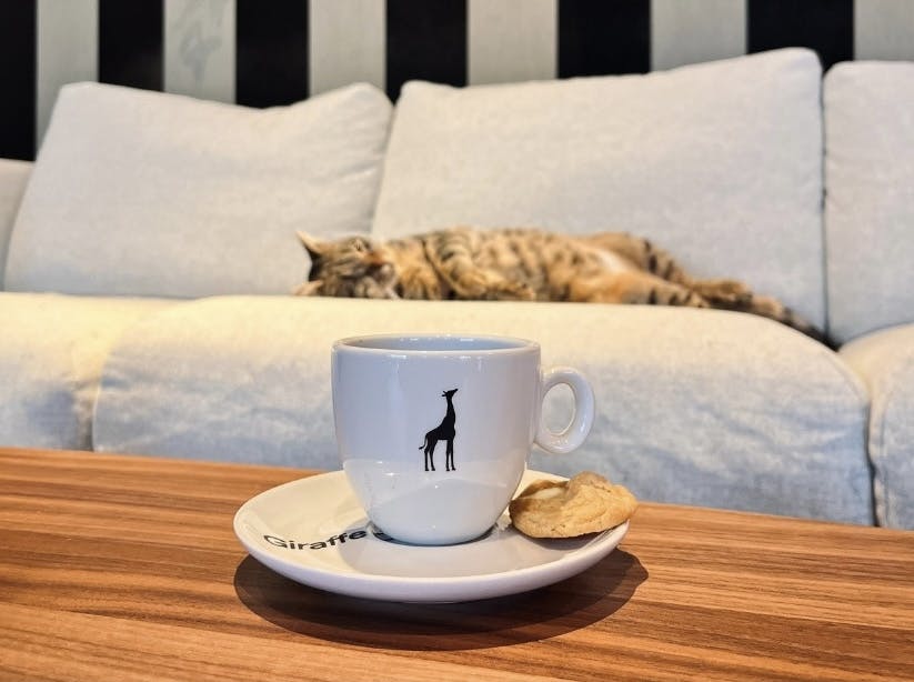 Sfeer bij Cattuccino in Alphen aan den Rijn