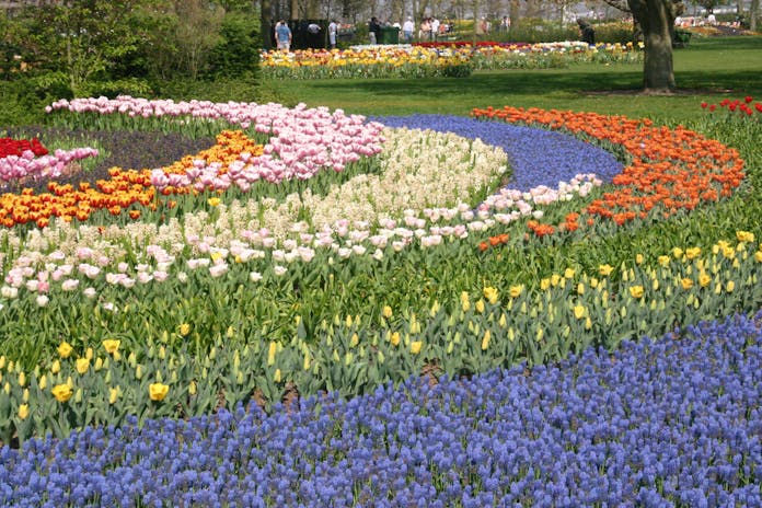 Keukenhof
