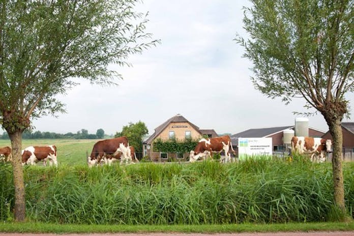 hoeve nooitgedacht