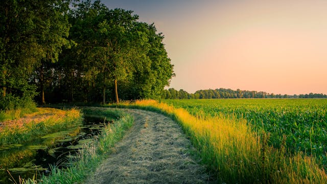 Wandelvakantie in het Groene Hart