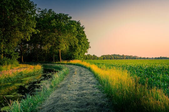 Wandelvakantie in het Groene Hart