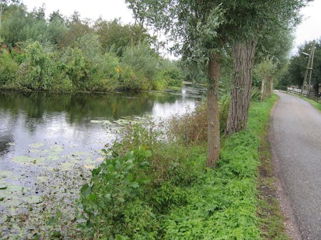 Herfst in het Groene hart