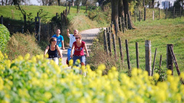 Fietsvakantie in het Groene Hart