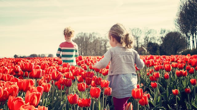 Last minute vakantie in Nederland