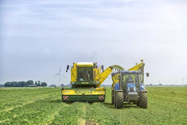 Sfeerafbeelding Inbreng politieke partijen: de Vollegrondsgroentesector wil vooruit!