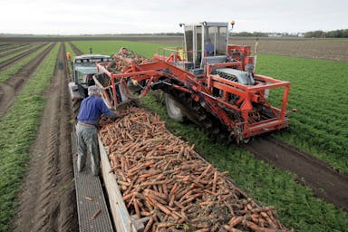 Sfeerafbeelding CAO Groente- en Fruitwerkerende Industrie 2023-2025 nu als klikbare pdf