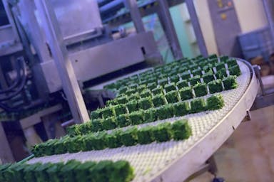 Sfeerafbeelding Onderhandelingsresultaat bereikt over nieuwe cao Groente- en Fruitverwerkende Industrie