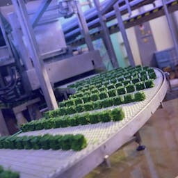 Sfeerafbeelding Onderhandelingsresultaat bereikt over nieuwe cao Groente- en Fruitverwerkende Industrie