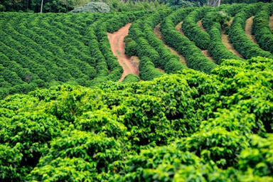 Sfeerafbeelding Duurzaamheid