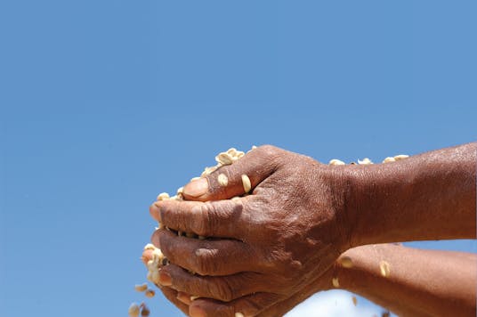 Groene koffiebonen handen
