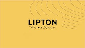 Lipton Teas and Infusions
