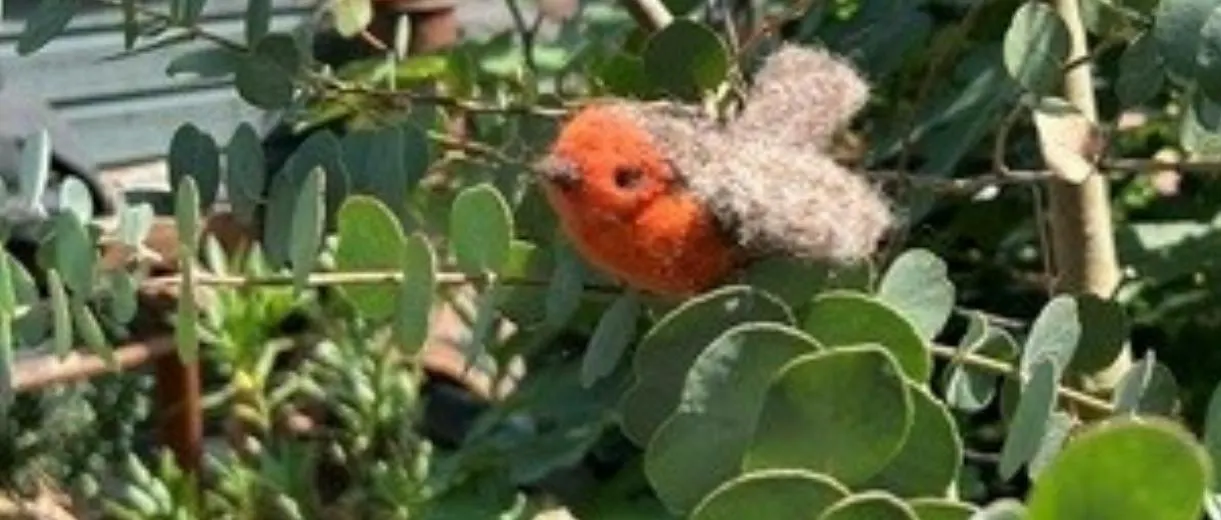W33: 3D vilten - vogels