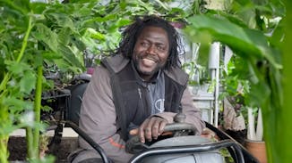 Man met dreadlocks zit tussen planten in een kas.