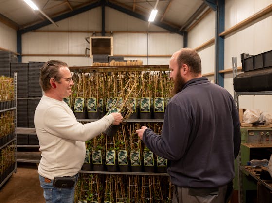 2 herenbij een kar met planten in een kwekerij