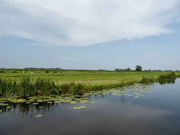 Project waterplas de Olm
