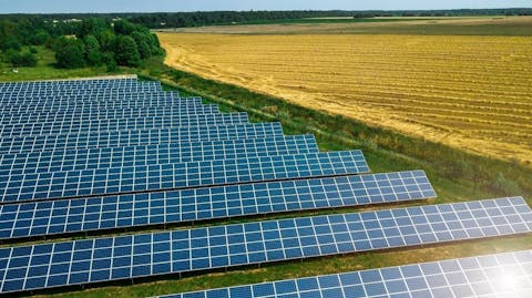 Zonnevelden in Nieuwkoop.