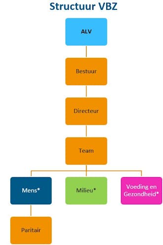 structuur vereniging