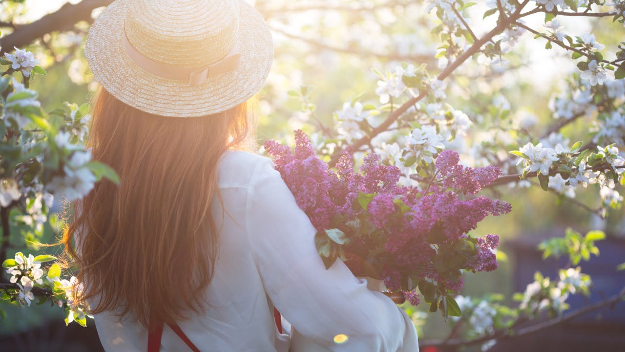 De levendigheid van de lente