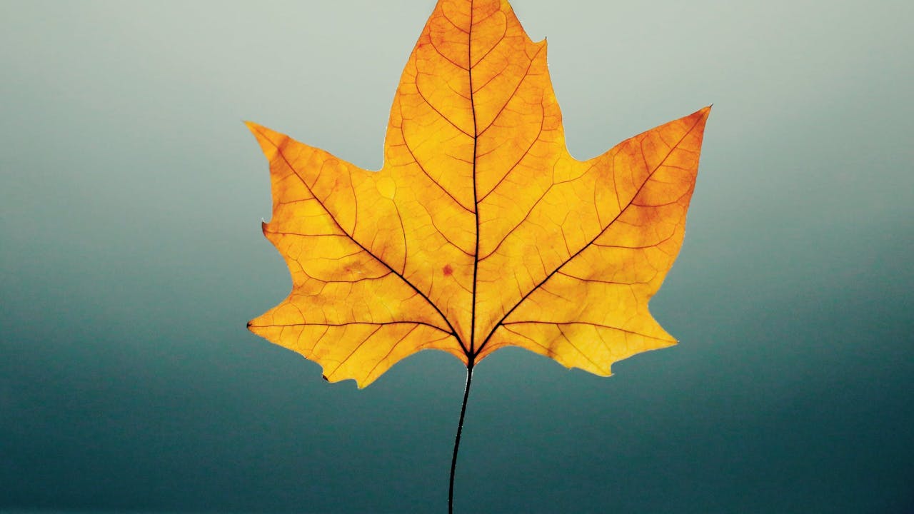 Hou met deze tip, grip op je herfstdip!