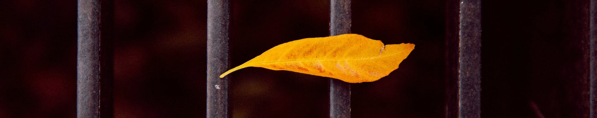 Dichter Ayhan Nolan in detentie: “Mijn enige wapen is een pen.”