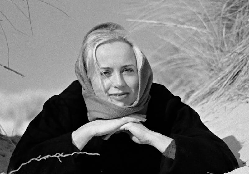 Peet Hiddink | ArtePhoto