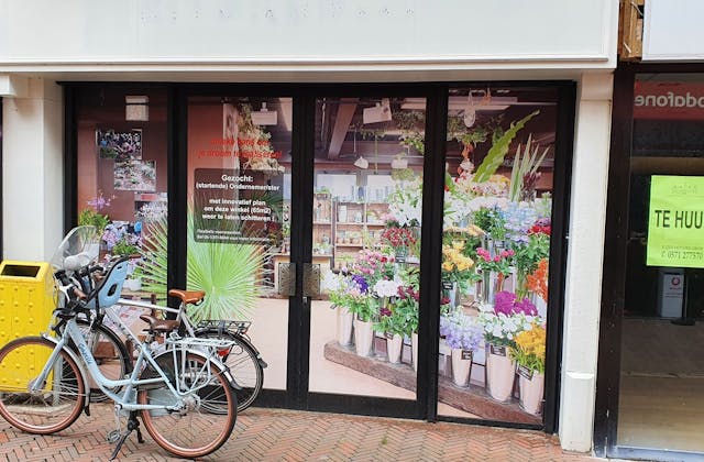 Alphen a/d Rijn - Van Mandersloostraat 50