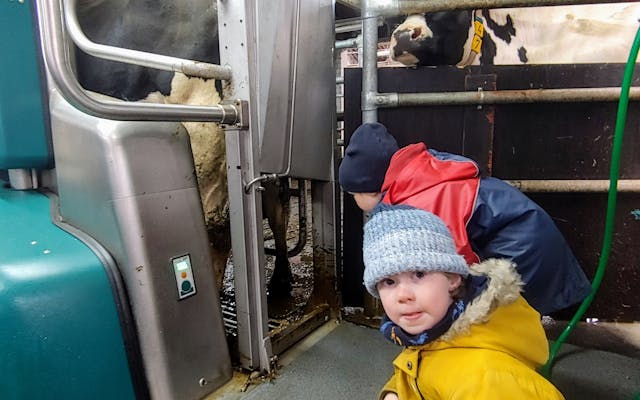 Melken, voor iedereen een mooi gezicht!