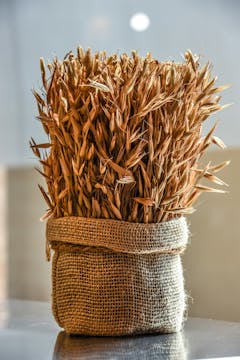 24/7 agrarisch ondernemer