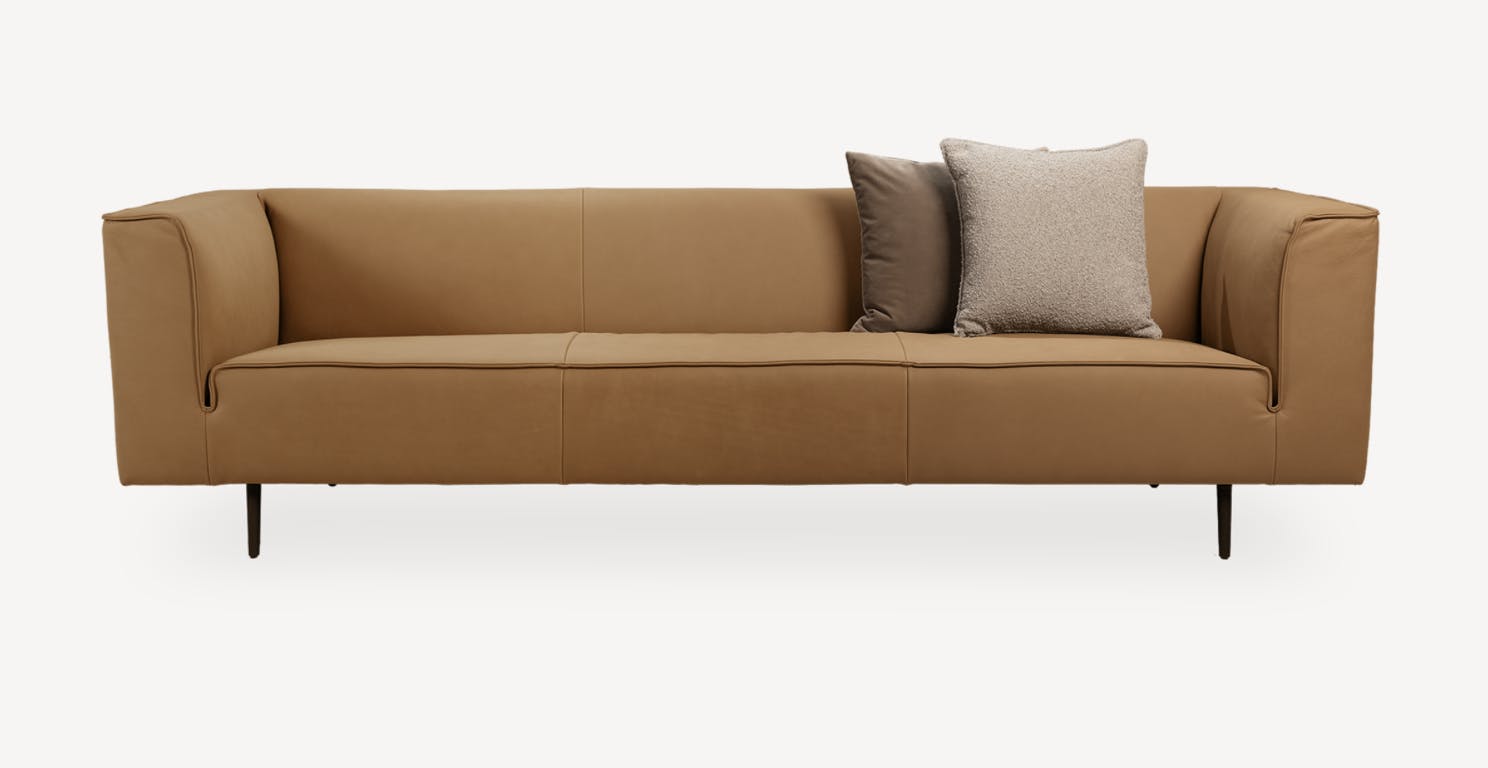 Cartel Living - Dante