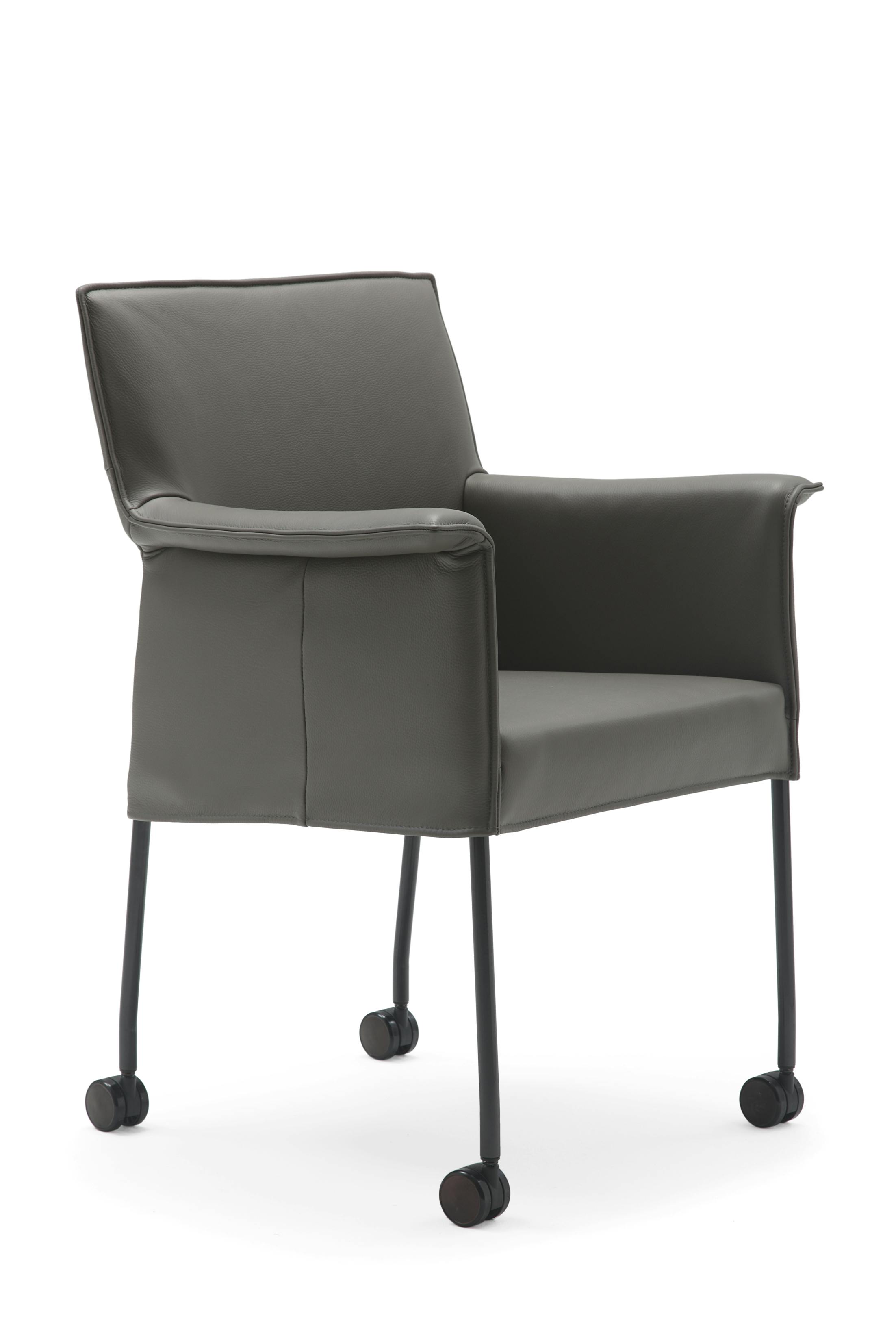 Design on Stock - Gola