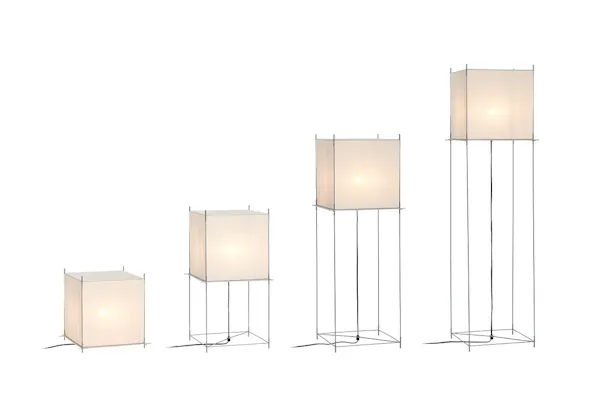 Hollands licht - lotek