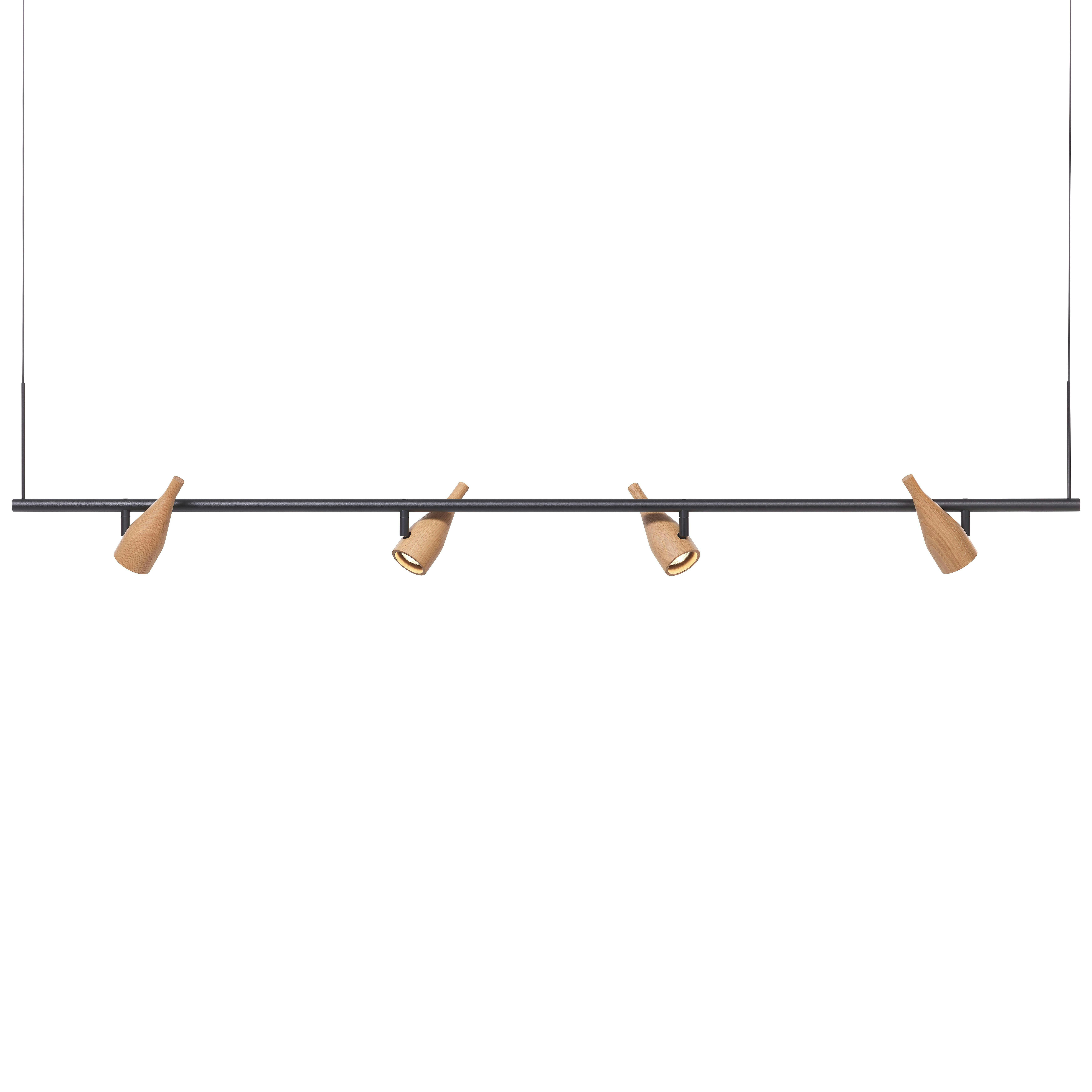 Hollands licht - timber line