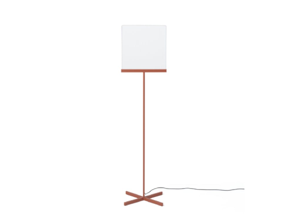 Hollands licht - Xio