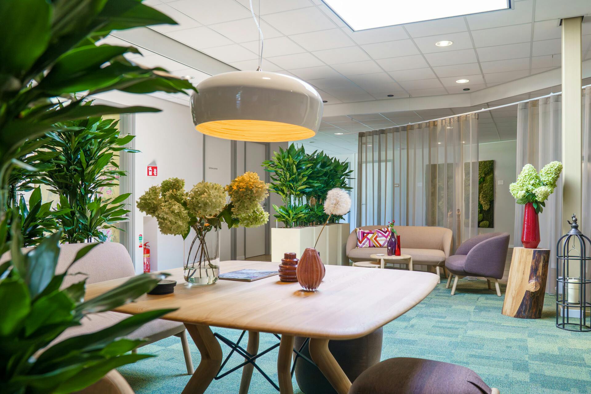 Hospicegroep Alphen aan den Rijn / Nieuwkoop