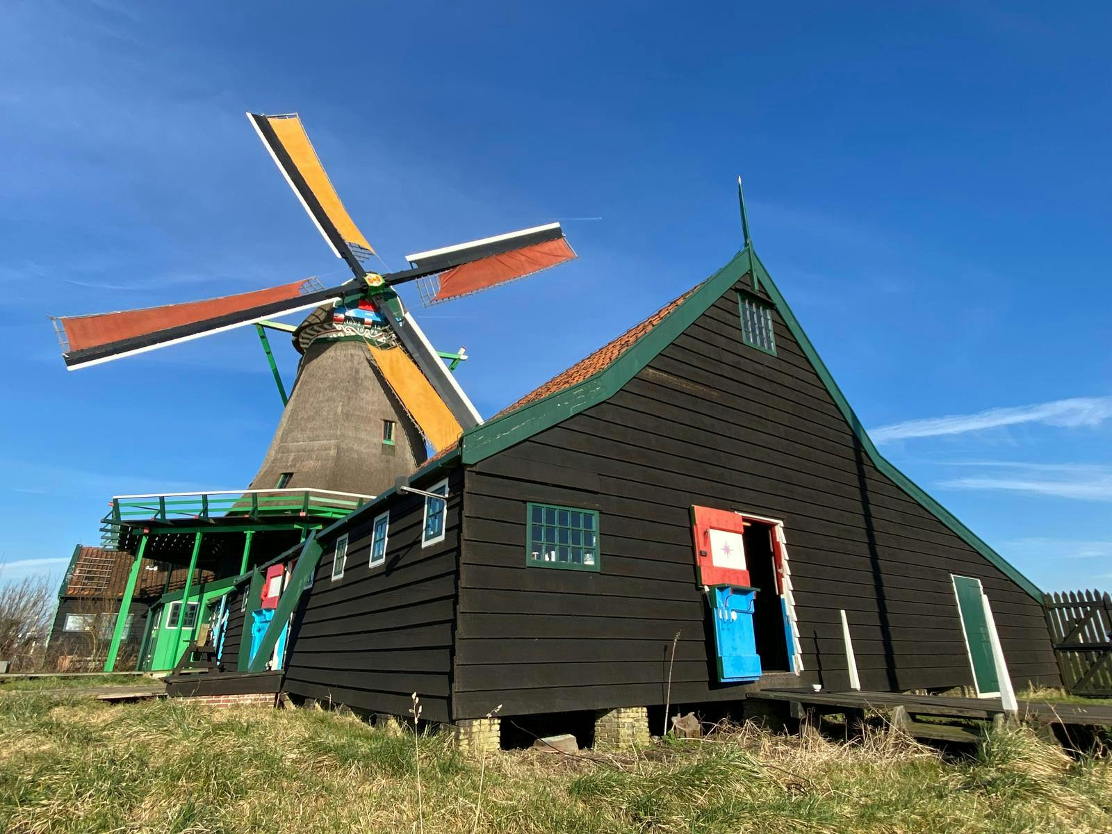 De oliewortels van de Zaanstreek: 400 jaar windmolens