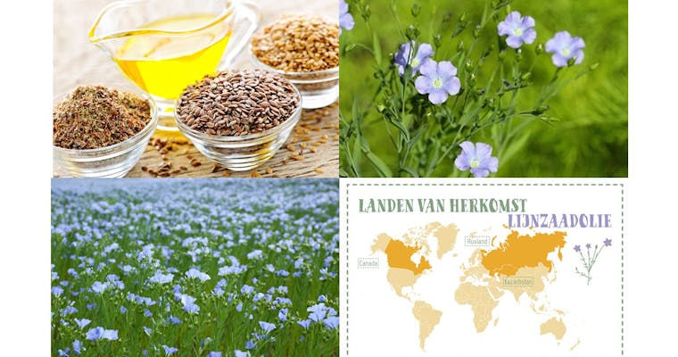 Meer bewijs voor positieve effecten van alfa-linoleenzuur