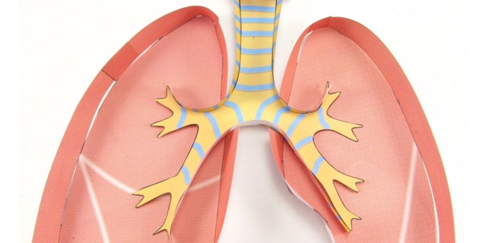 Omega 3-vetzuren gekoppeld aan het behoud van een goede longgezondheid