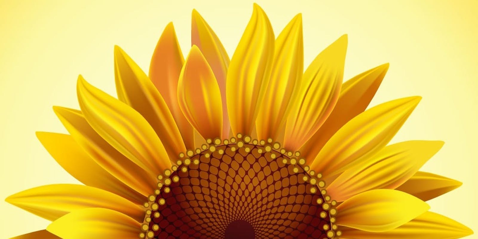 Omega 6-vetten; de huidige wetenschappelijke status?!