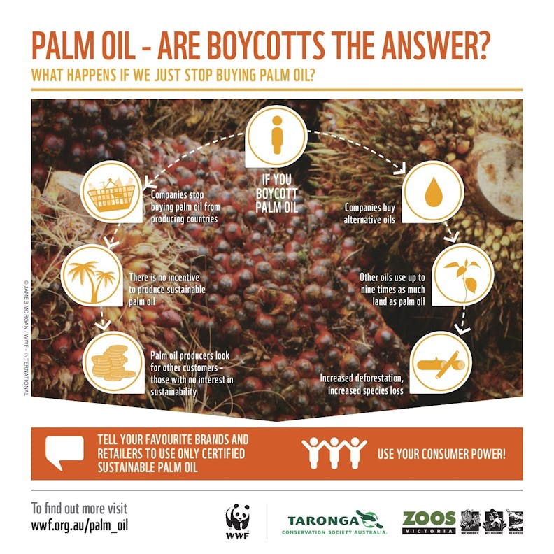 palmolie boycotten