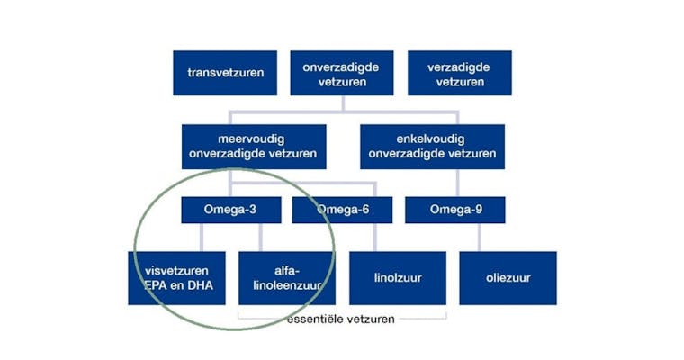Omega 3-vetzuren: samenstelling, werking en bronnen